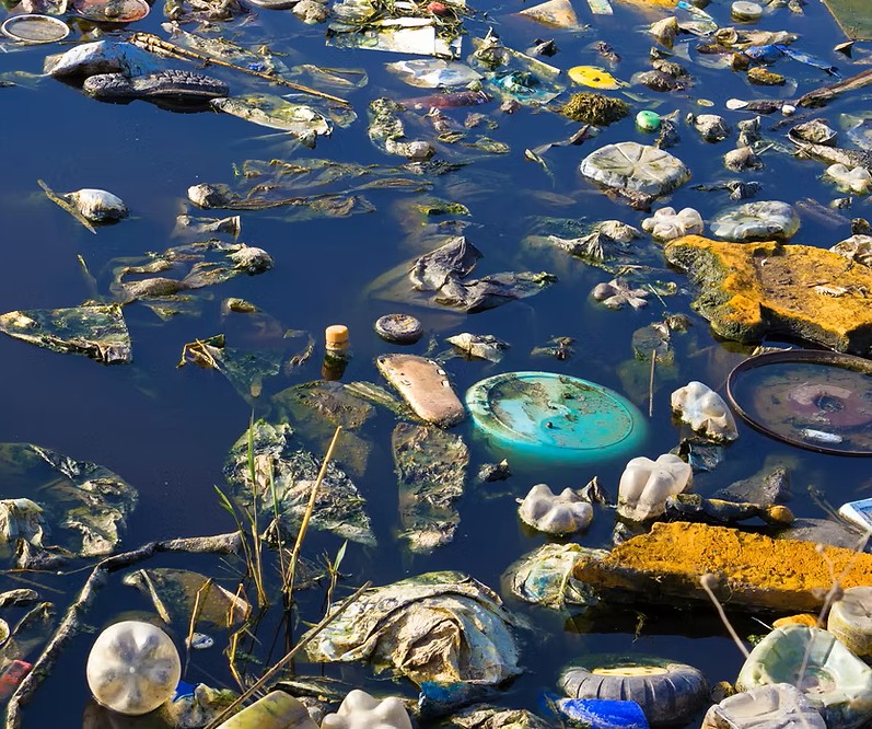 Plastic Collection